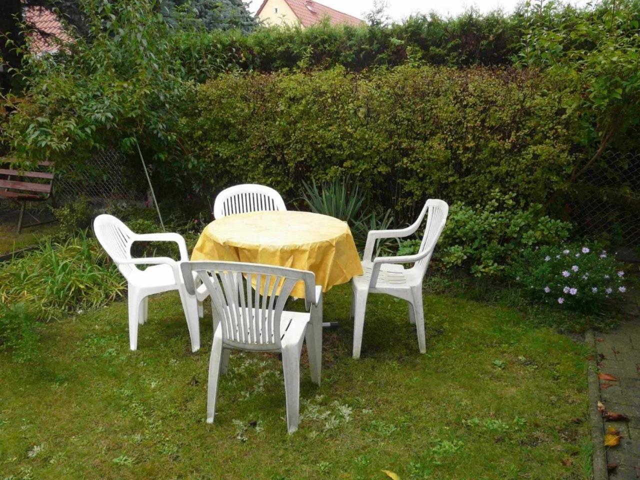 Ferienwohnung Winter Wittenberg 外观 照片